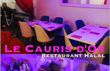 Le cauris d’or