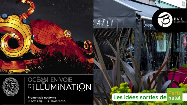 Sortie en famille, nuit, poissons, idéale, enfants, petits, que faire à Paris, restaurant halal, paris